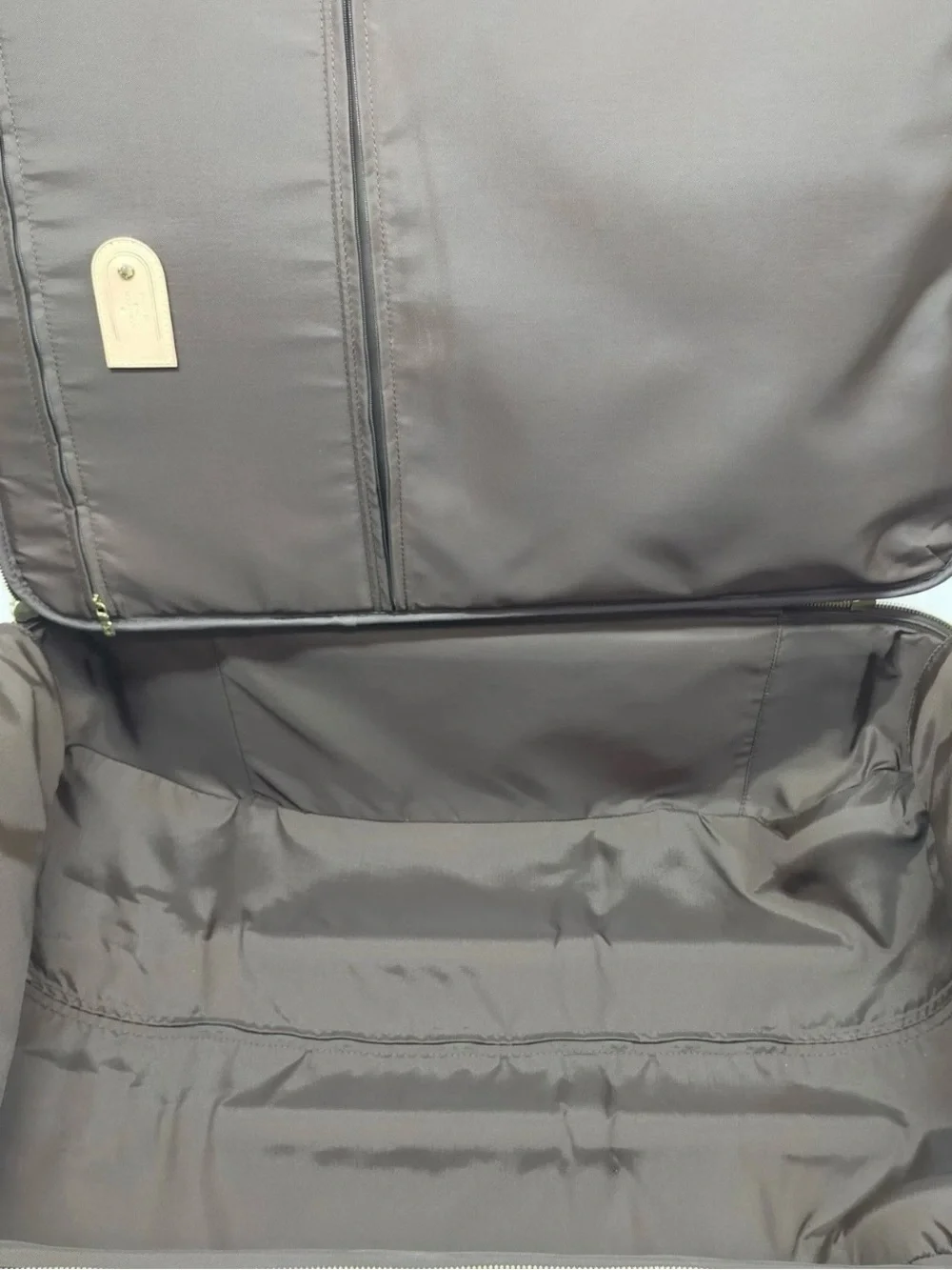 Louis Vuitton Pegasis 65 Suitcase